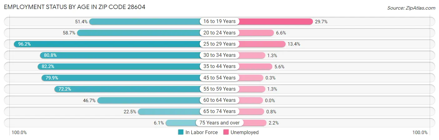 Employment Status by Age in Zip Code 28604