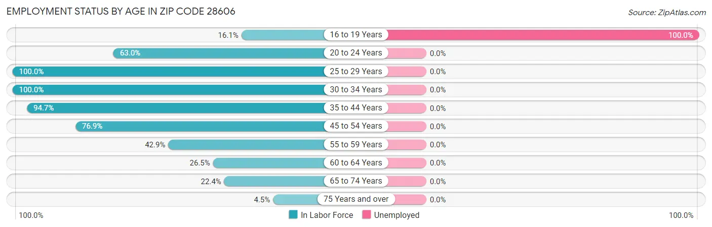 Employment Status by Age in Zip Code 28606