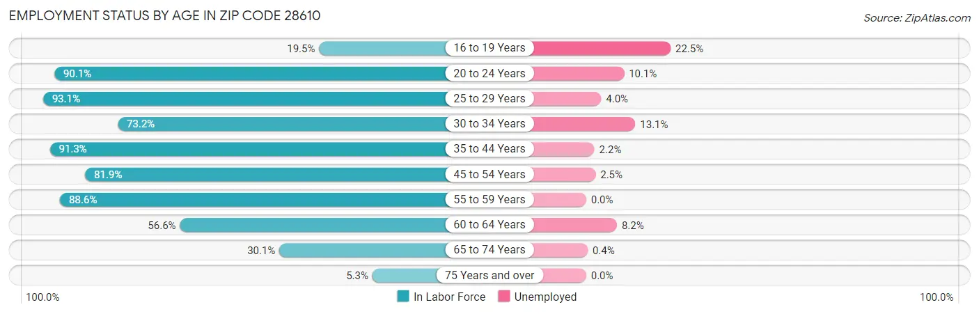 Employment Status by Age in Zip Code 28610