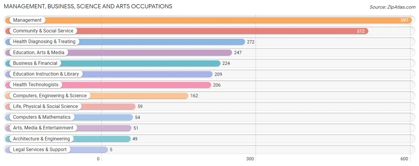 Management, Business, Science and Arts Occupations in Zip Code 28610