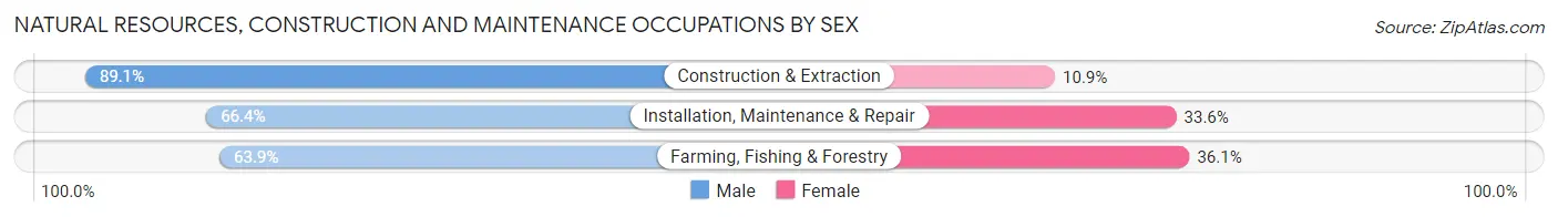 Natural Resources, Construction and Maintenance Occupations by Sex in Zip Code 28610