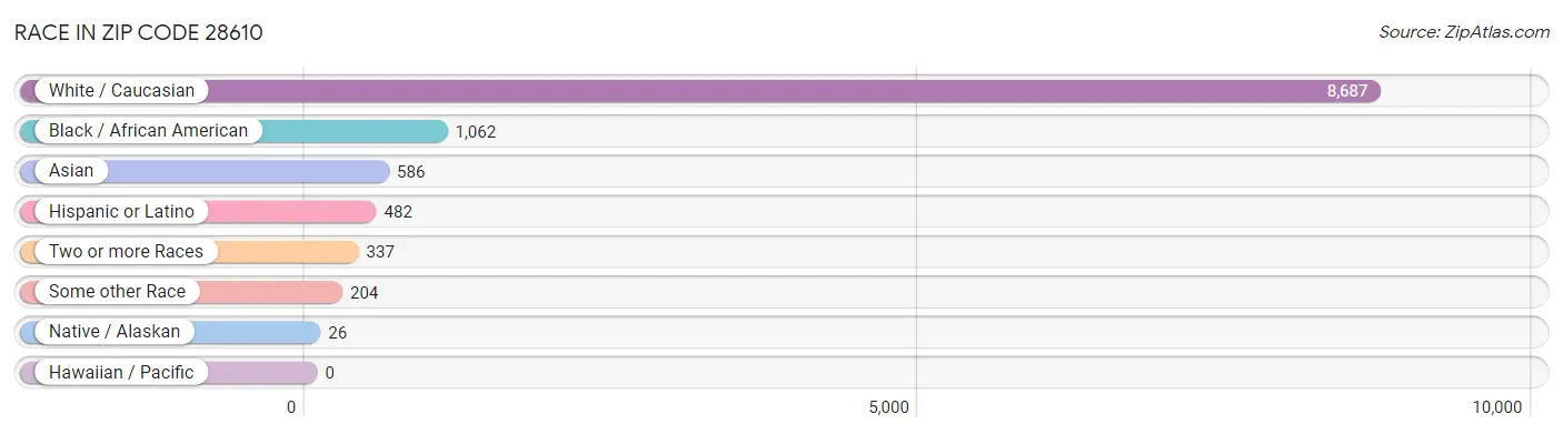 Race in Zip Code 28610