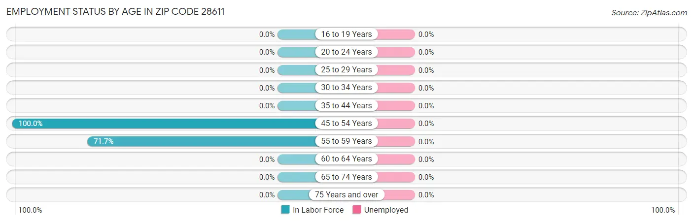 Employment Status by Age in Zip Code 28611