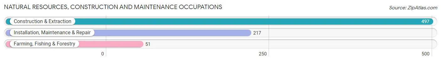 Natural Resources, Construction and Maintenance Occupations in Zip Code 28613