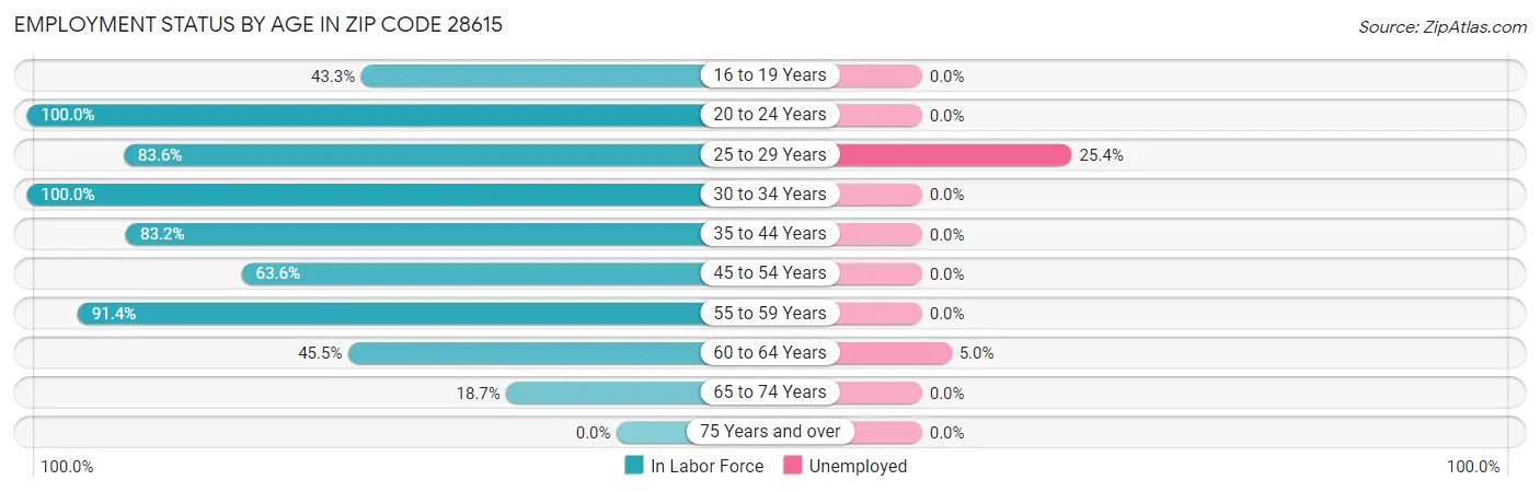 Employment Status by Age in Zip Code 28615