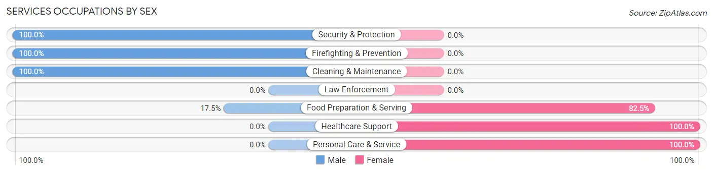 Services Occupations by Sex in Zip Code 28615
