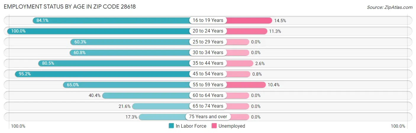 Employment Status by Age in Zip Code 28618