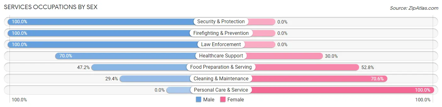 Services Occupations by Sex in Zip Code 28618