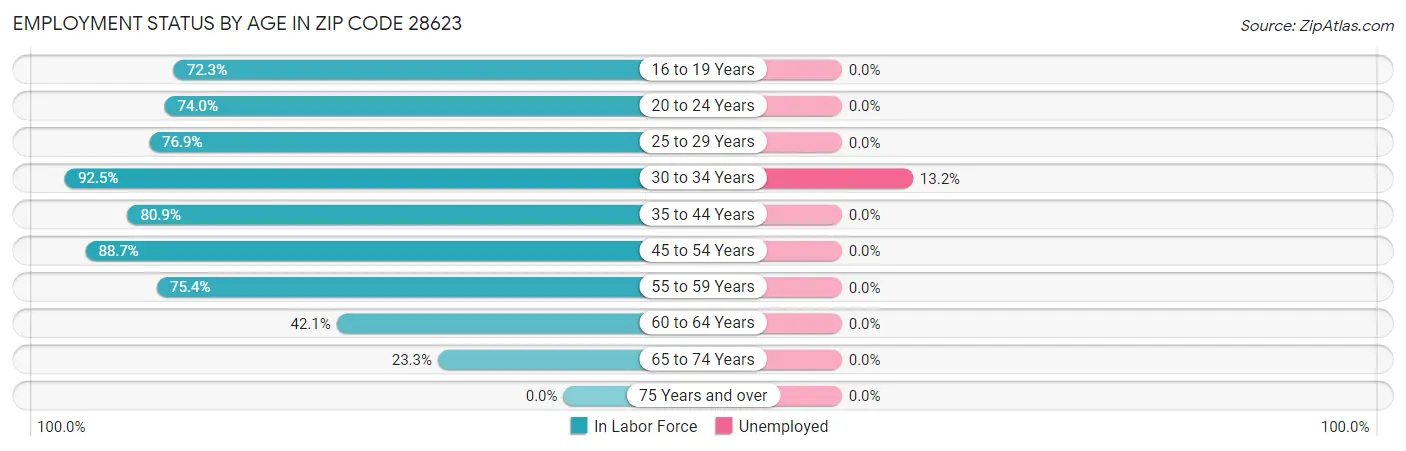 Employment Status by Age in Zip Code 28623