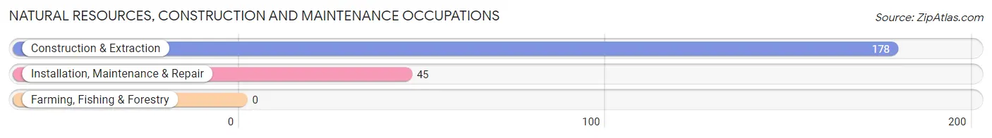 Natural Resources, Construction and Maintenance Occupations in Zip Code 28623