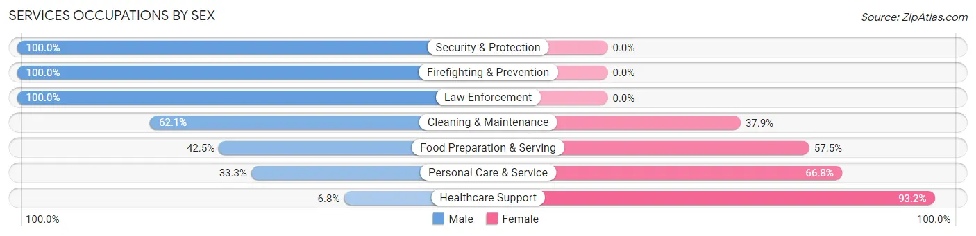 Services Occupations by Sex in Zip Code 28625