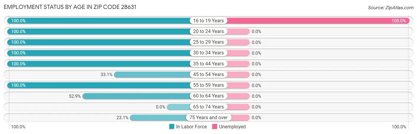 Employment Status by Age in Zip Code 28631