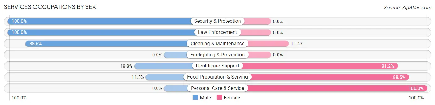 Services Occupations by Sex in Zip Code 28634