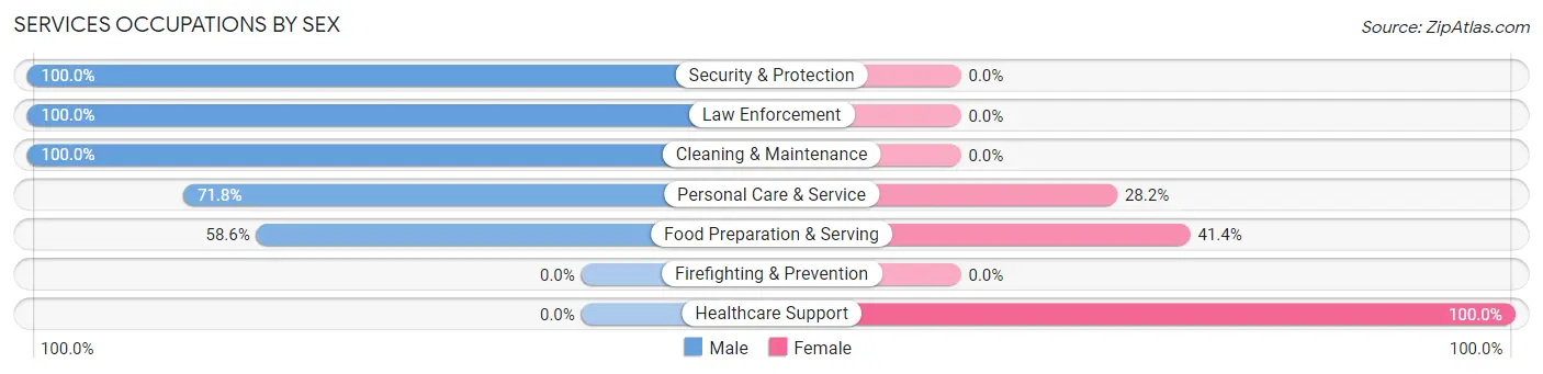 Services Occupations by Sex in Zip Code 28635
