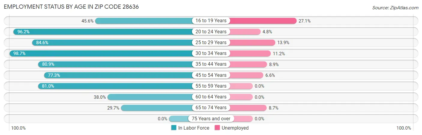 Employment Status by Age in Zip Code 28636