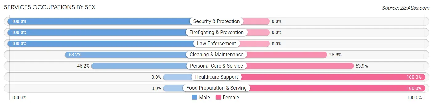 Services Occupations by Sex in Zip Code 28636