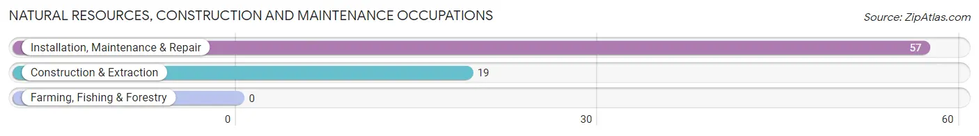 Natural Resources, Construction and Maintenance Occupations in Zip Code 28637