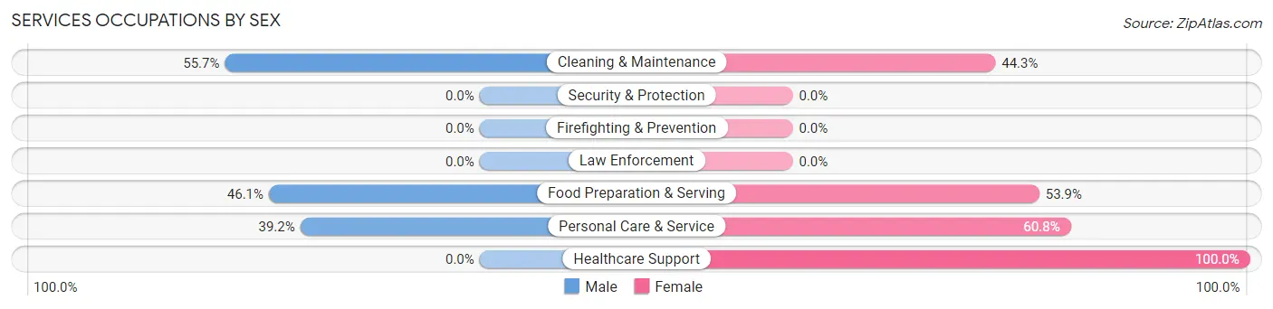 Services Occupations by Sex in Zip Code 28640