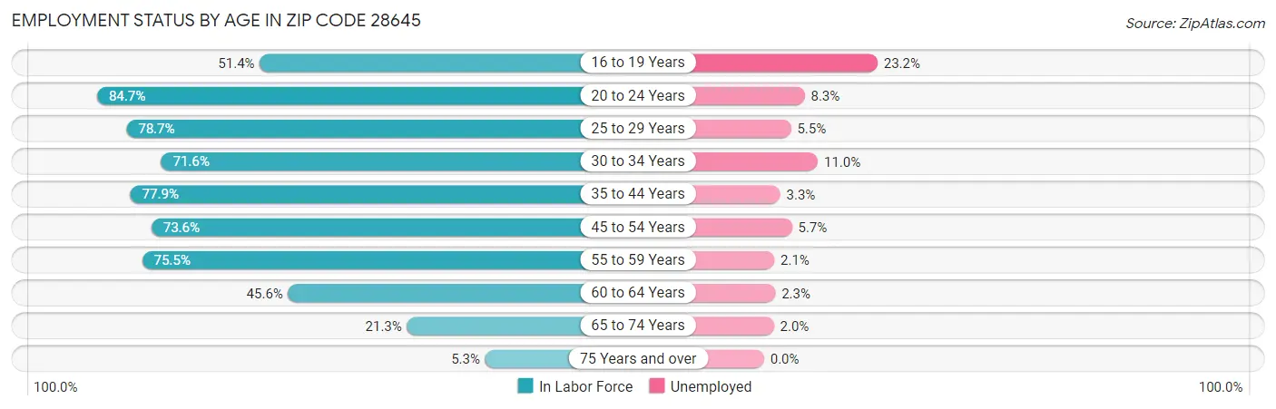 Employment Status by Age in Zip Code 28645