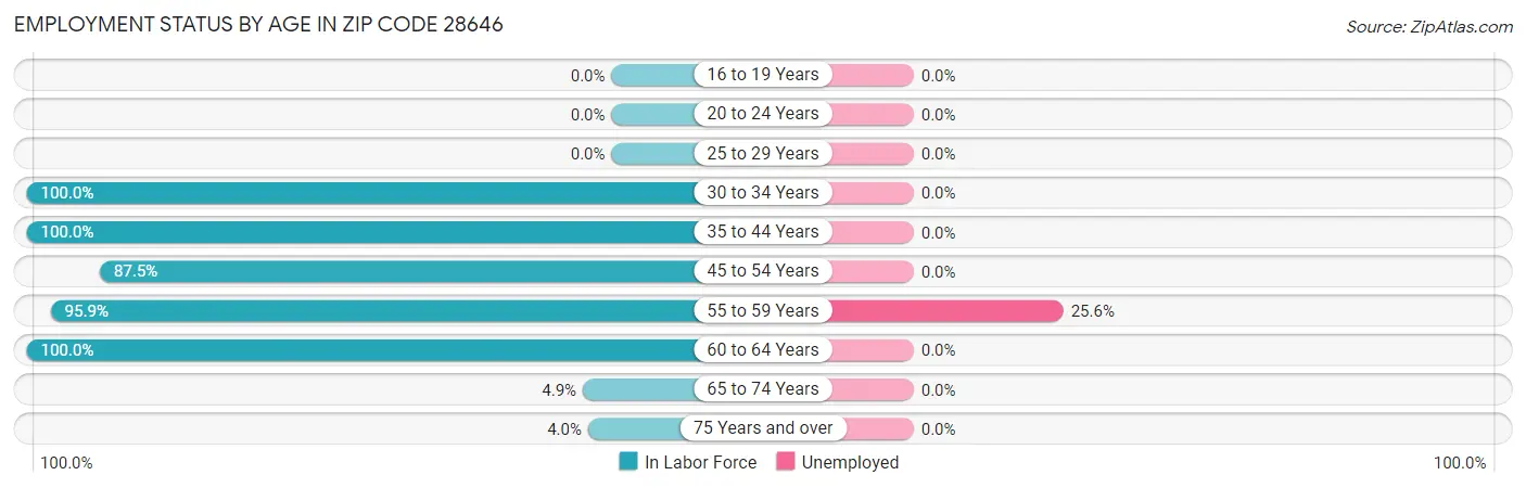 Employment Status by Age in Zip Code 28646