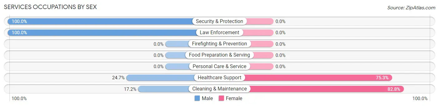 Services Occupations by Sex in Zip Code 28649