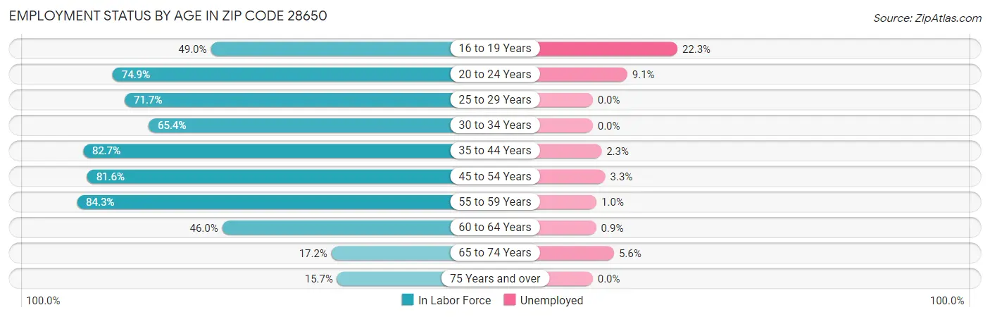 Employment Status by Age in Zip Code 28650