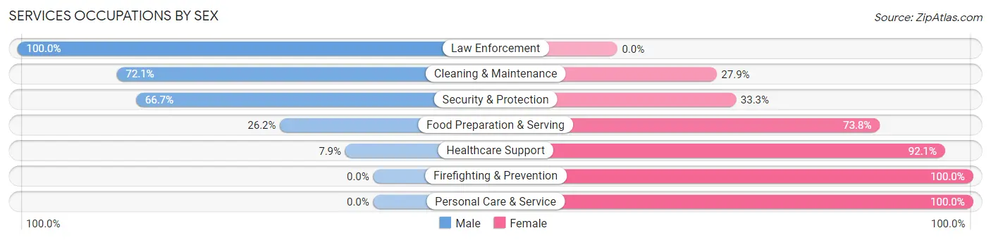 Services Occupations by Sex in Zip Code 28651