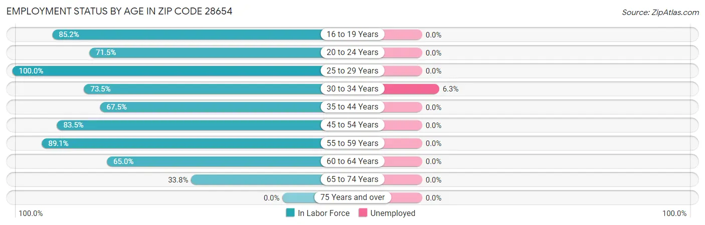 Employment Status by Age in Zip Code 28654