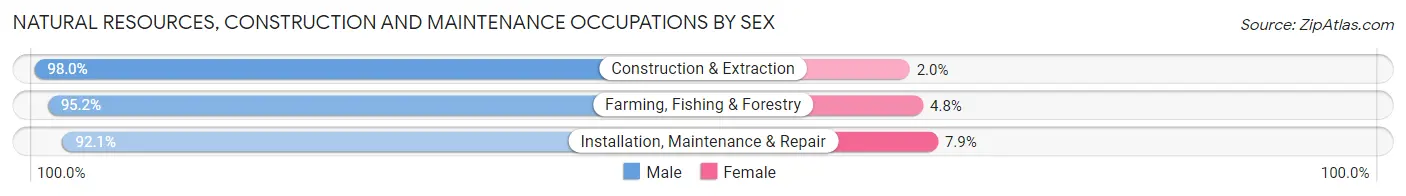Natural Resources, Construction and Maintenance Occupations by Sex in Zip Code 28655
