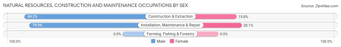 Natural Resources, Construction and Maintenance Occupations by Sex in Zip Code 28658