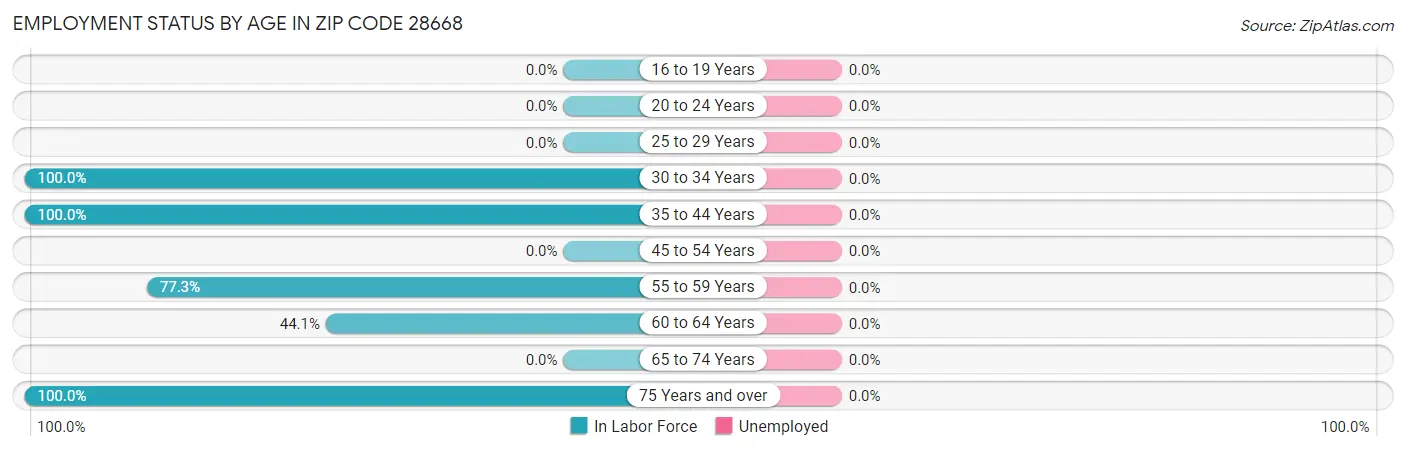 Employment Status by Age in Zip Code 28668