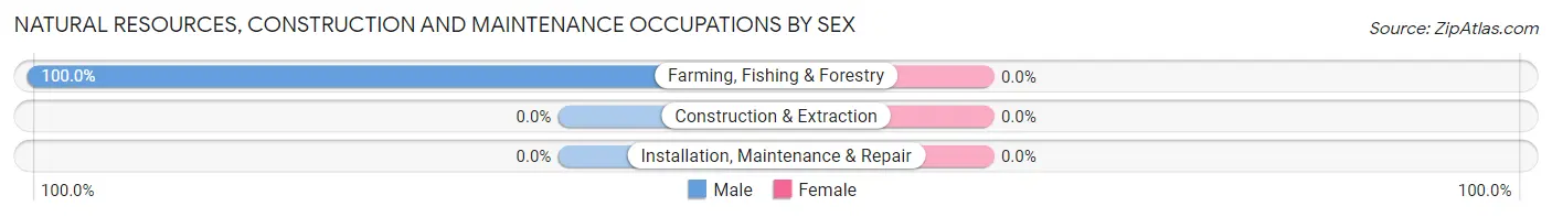 Natural Resources, Construction and Maintenance Occupations by Sex in Zip Code 28668