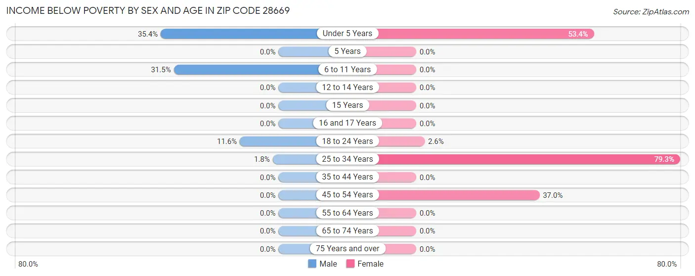 Income Below Poverty by Sex and Age in Zip Code 28669