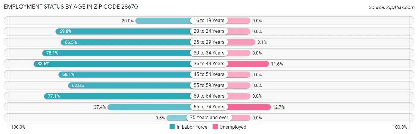 Employment Status by Age in Zip Code 28670