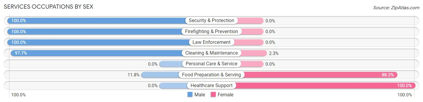Services Occupations by Sex in Zip Code 28670