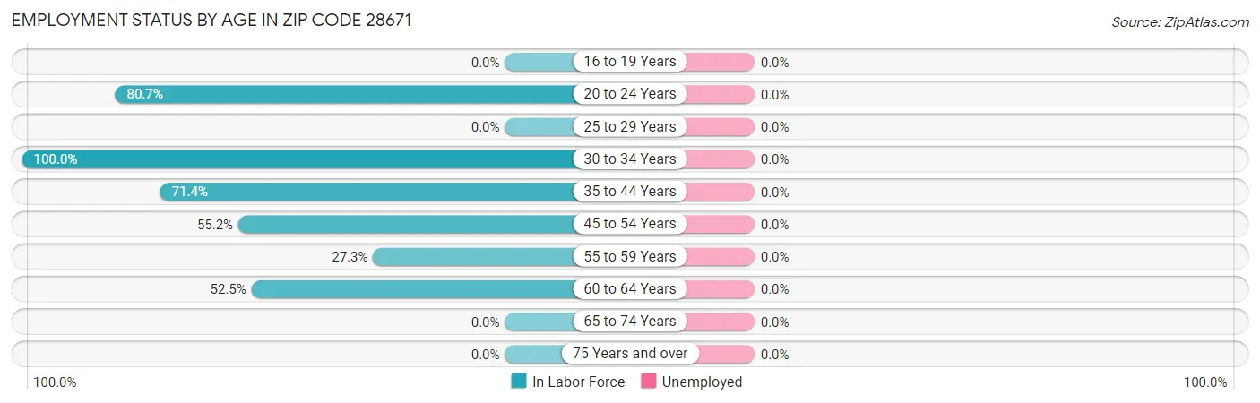 Employment Status by Age in Zip Code 28671