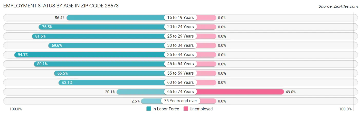 Employment Status by Age in Zip Code 28673