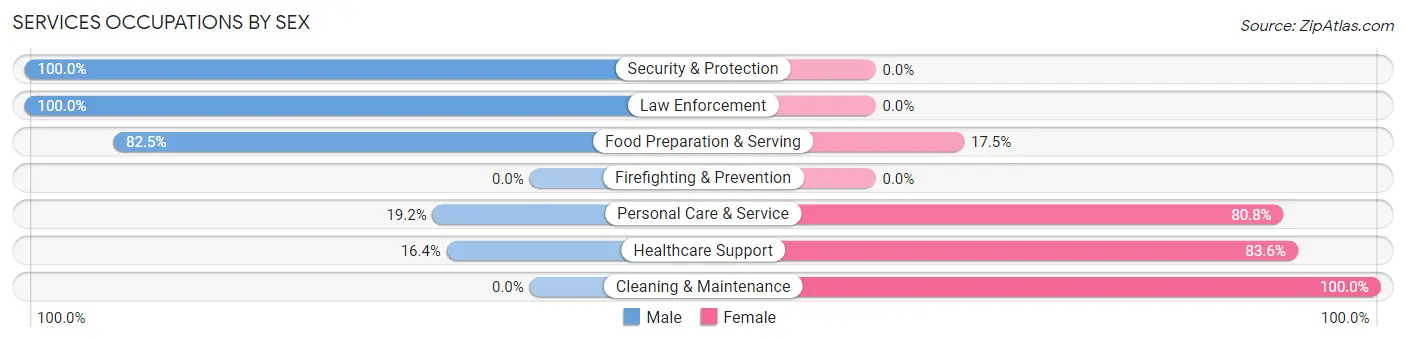 Services Occupations by Sex in Zip Code 28673