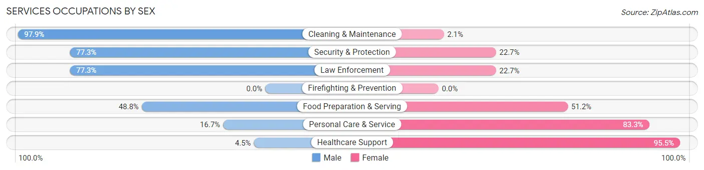 Services Occupations by Sex in Zip Code 28675