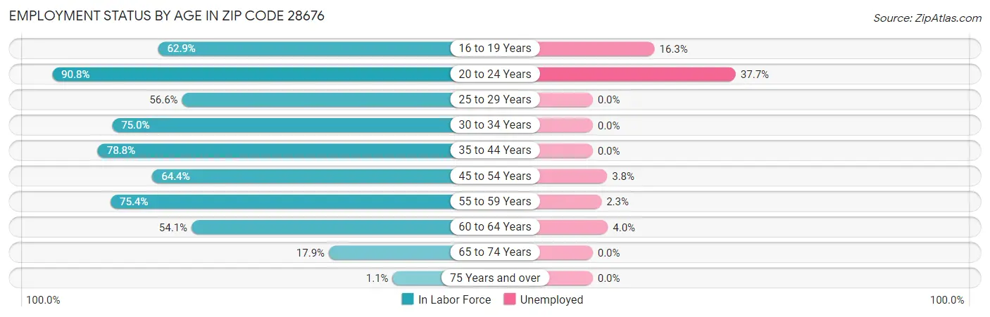 Employment Status by Age in Zip Code 28676