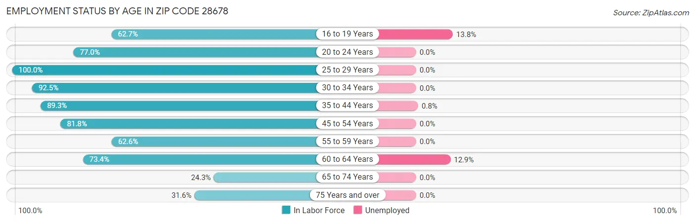 Employment Status by Age in Zip Code 28678
