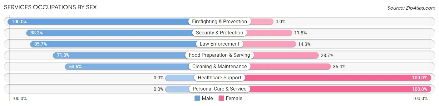 Services Occupations by Sex in Zip Code 28678