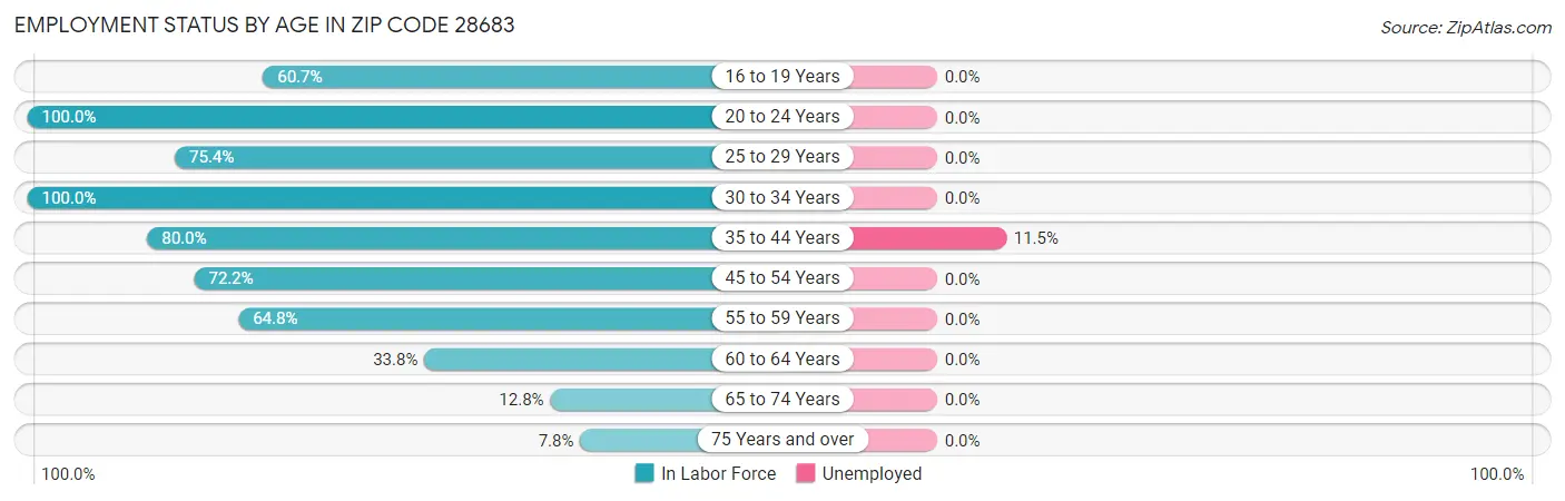 Employment Status by Age in Zip Code 28683