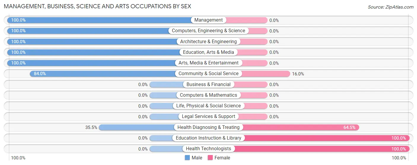 Management, Business, Science and Arts Occupations by Sex in Zip Code 28683