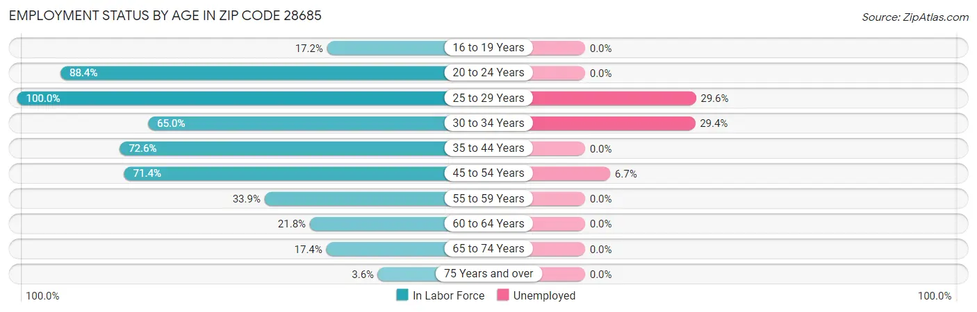 Employment Status by Age in Zip Code 28685