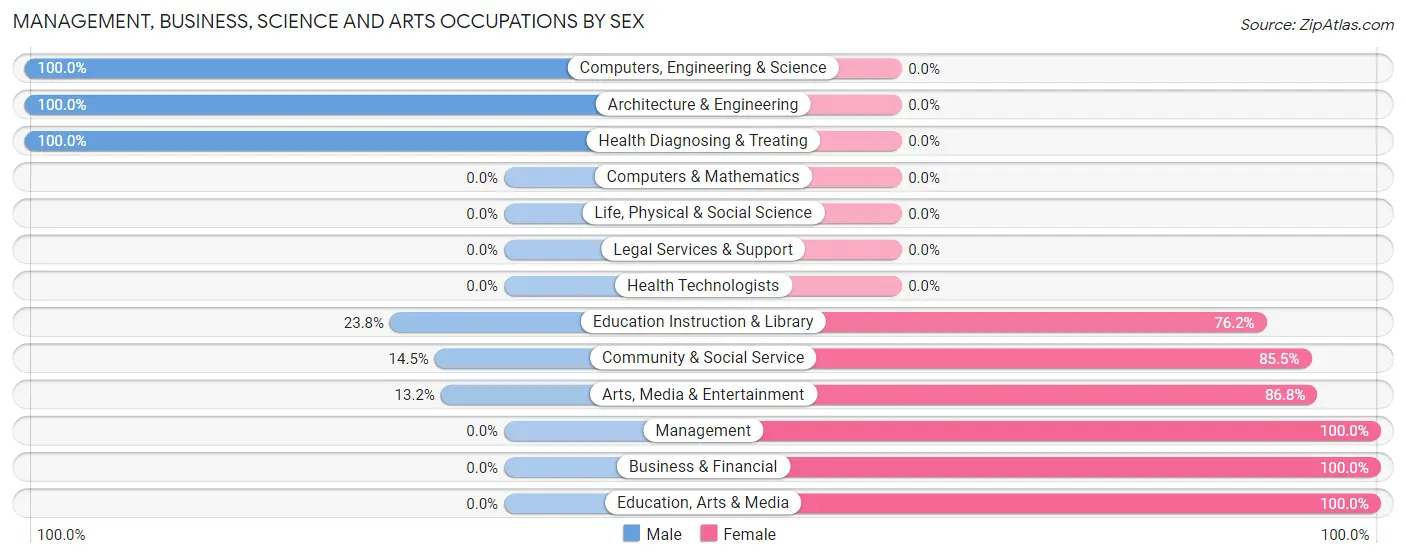 Management, Business, Science and Arts Occupations by Sex in Zip Code 28685