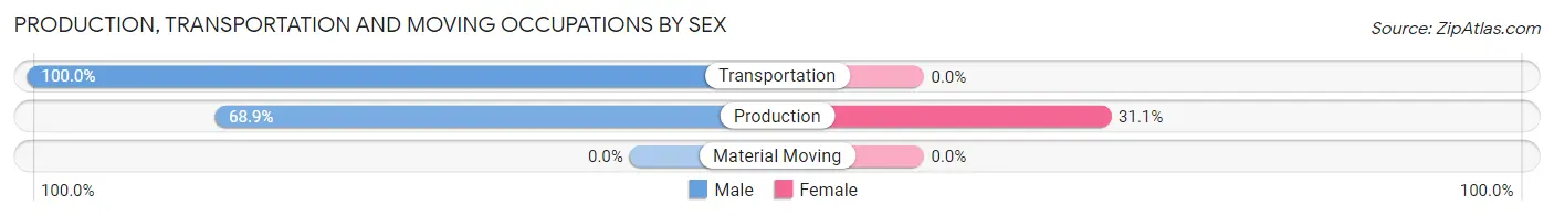 Production, Transportation and Moving Occupations by Sex in Zip Code 28685