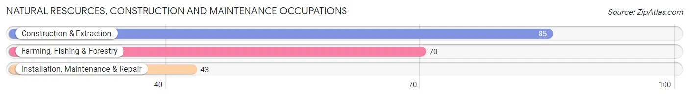 Natural Resources, Construction and Maintenance Occupations in Zip Code 28689