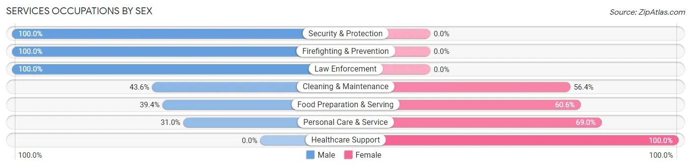 Services Occupations by Sex in Zip Code 28690