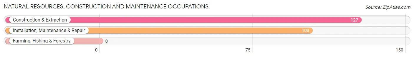 Natural Resources, Construction and Maintenance Occupations in Zip Code 28692